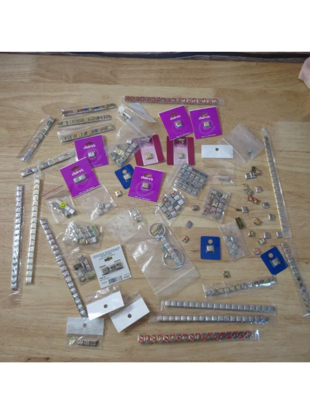 Huge Lot of 350+ Add-A-Link Charms Plus Durable Organizing Case
